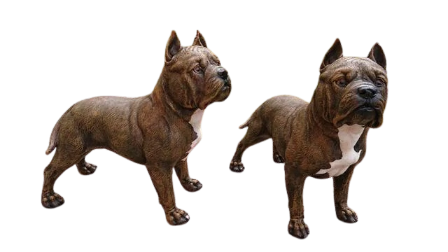 Pes Pitbull polyston