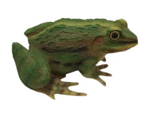 Žába polyston velká