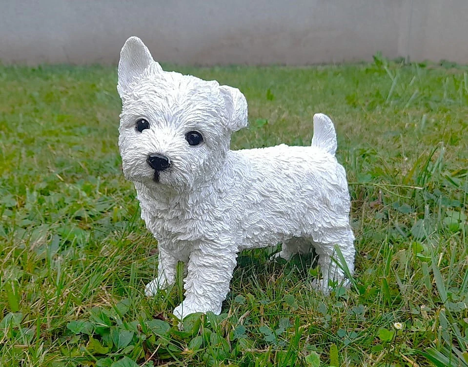 Pes westík stojící malý