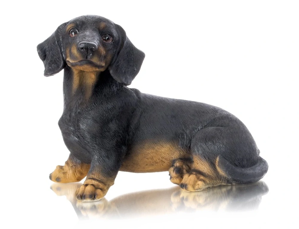 Pes Jezevčík tmavý sedící