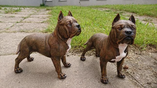 Pes Pitbull polyston