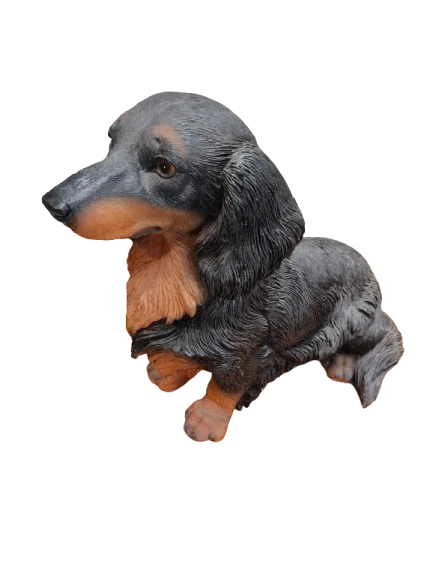 Pes jezevčík dlouhosrstý - 43 cm