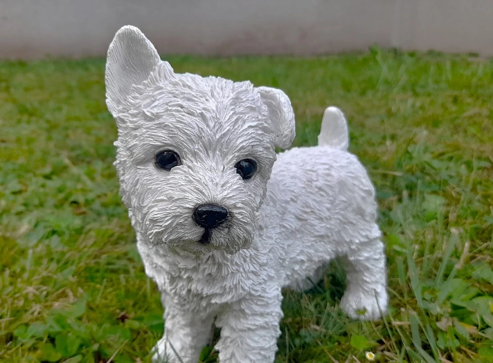 Pes westík stojící malý