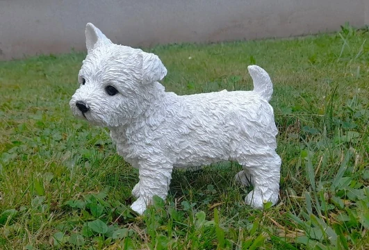 Pes westík stojící malý