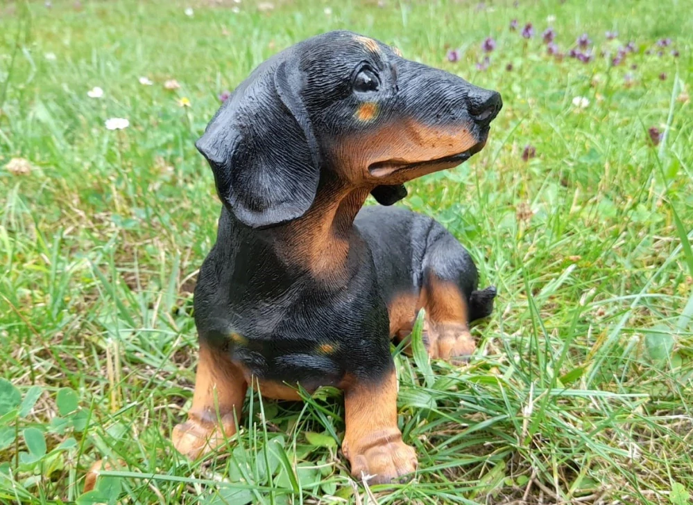 Pes Jezevčík tmavý sedící