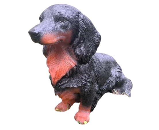 Pes jezevčík dlouhosrstý velký