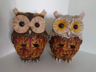 Sova, podzimní design