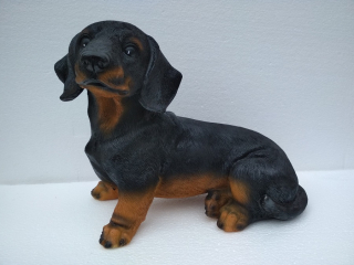 Pes Jezevčík tmavý sedící