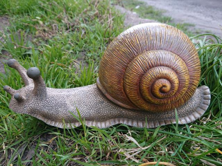 Šnek polyston velký