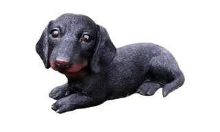 Pes jezevčík ležící