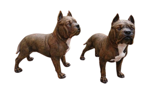 Pes Pitbull polyston