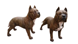 Pes Pitbull polyston