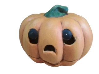 Dýně ploská
